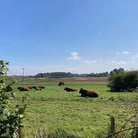 Bades Huk Haus 18 77 - Og Lejlighed Hohen Wieschendorf